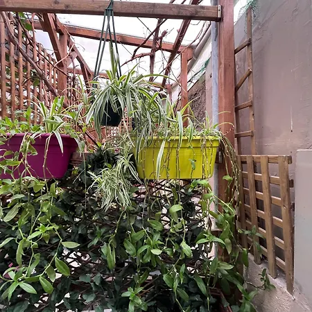 L'oasis Montparnasse