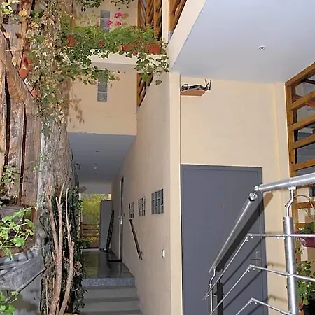 L'oasis Montparnasse