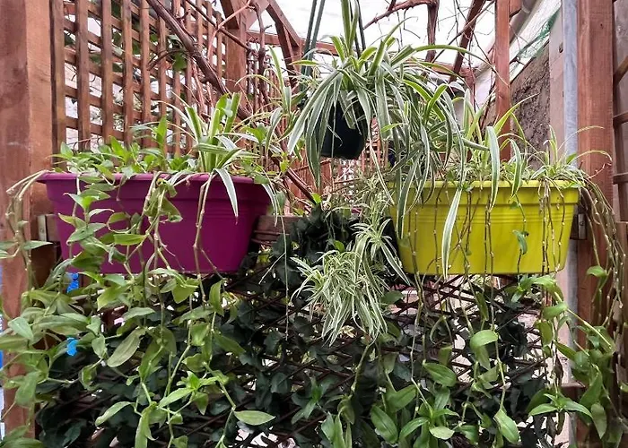 Ξενοδοχείο L'oasis Montparnasse 2*