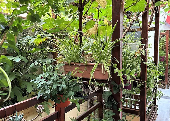 L'oasis Montparnasse Ξενοδοχείο Παρίσι