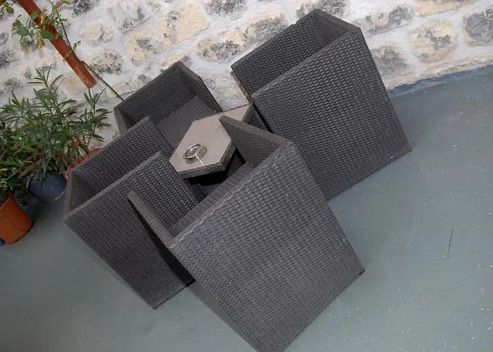 L'oasis Montparnasse