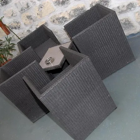 L'oasis Montparnasse